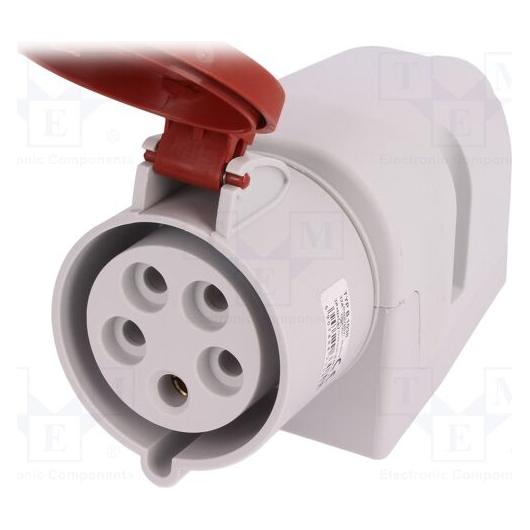 Pawbol Feste Steckdose 32A 5P 400V IP44 B.1038 (B.1038)