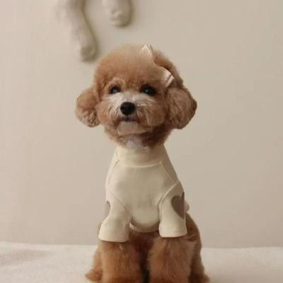 Uplift Picks LoveBear Warm Dog Hoodie For Small Dogs And Cats beige l