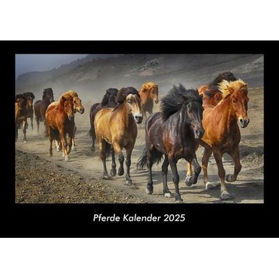 Pferde Kalender 2025 Fotokalender DIN A3