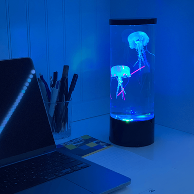HomeDecorAndMore LLC LED Fantasy Jellyfish Lamp LED Fantasy Jellyfish Lamp