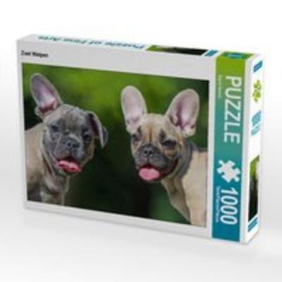 CALVENDO Puzzle Zwei Welpen | 1000 Teile Lege-Größe 64x48cm Foto-Puzzle für glückliche Stunden