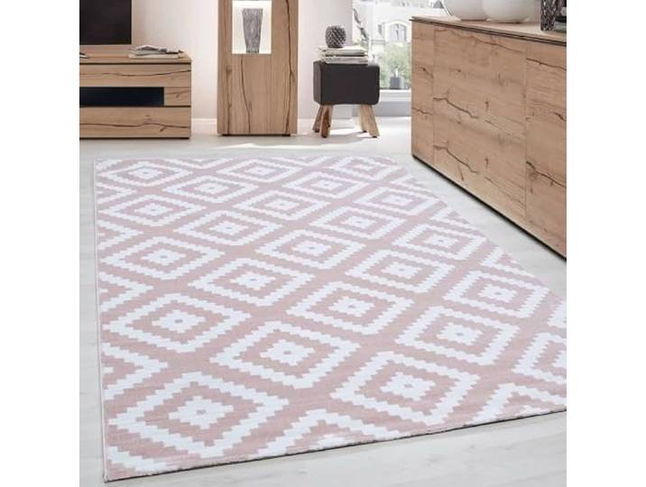 DecoTappi Tapis Modernes Design Rose 120x170 cm Salon Moderne Designe Elegance Courte Pile Poudre