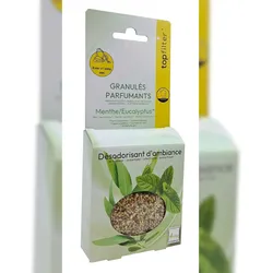 Top Filter 4er-Pack TopFilter Staubsaugerduftbeutel Minze/Eukalyptus