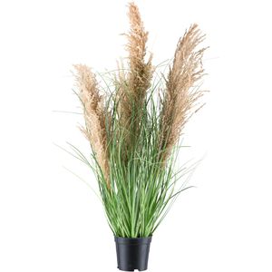 Creativ-green Kunstpflanze Natur-Schilfgras, im Topf, Höhe 75 cm