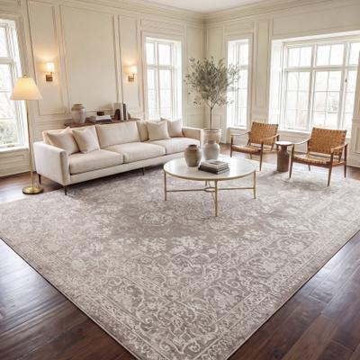 SAFAVIEH Reflection Nedelja Charming Oriental Rug