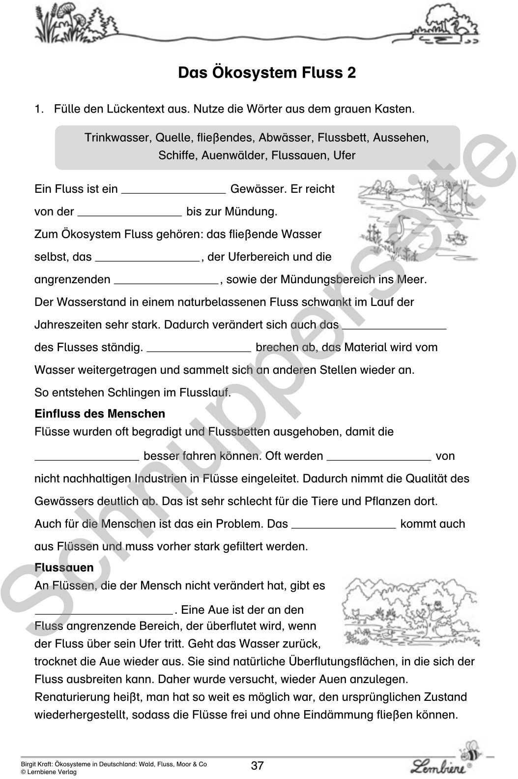 Lernbiene Ökosysteme in Deutschland: Wald, Fluss, Moor & Co