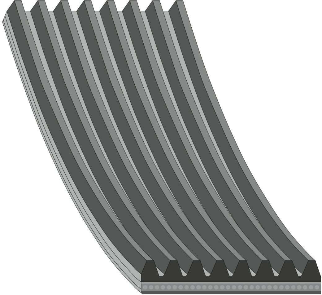 FEBI BILSTEIN 46534 Serpentine belt