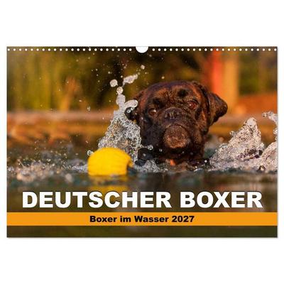 Deutscher Boxer - Boxer im Wasser 2027 (Wandkalender 2027 DIN A3 quer), CALVENDO Monatskalender