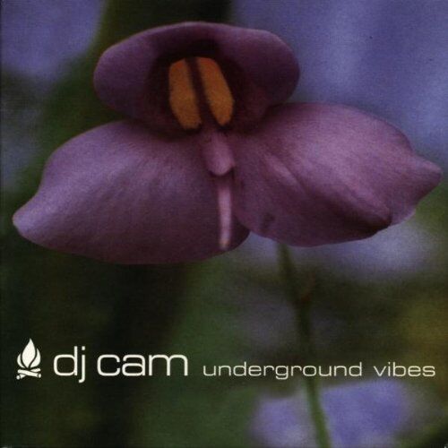 DJ Cam - Underground Vibes - Preis vom 09.10.2026 07:28:09 h