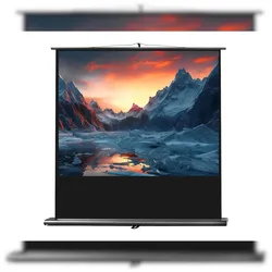 celexon Leinwand Ultramobil Professional 200 x 150 cm