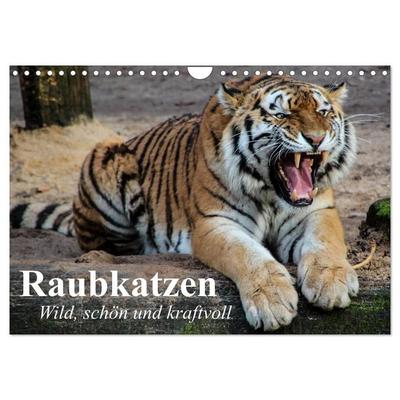 Raubkatzen. Wild, schön und kraftvoll (Wandkalender 2026 DIN A4 quer), CALVENDO Monatskalender