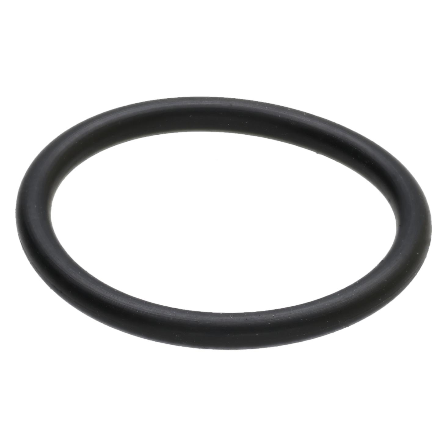 KS Tools O-Ring (160.1050-R066P)