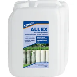 LITHOFIN ALLEX Grünbelagentferner 5l Kanister
