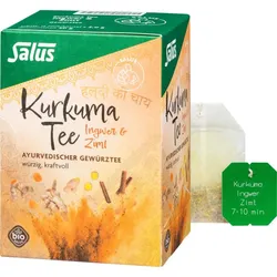 Kurkuma Tee - Ingwer & Zimt Bio Salus 15 ST