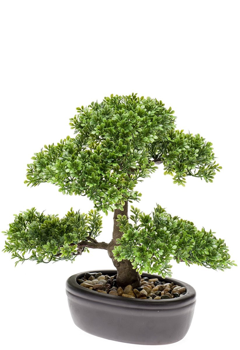 Emerald Kunstplant Bonsai Ficus mini 32cm - Kunstboom voor binnen