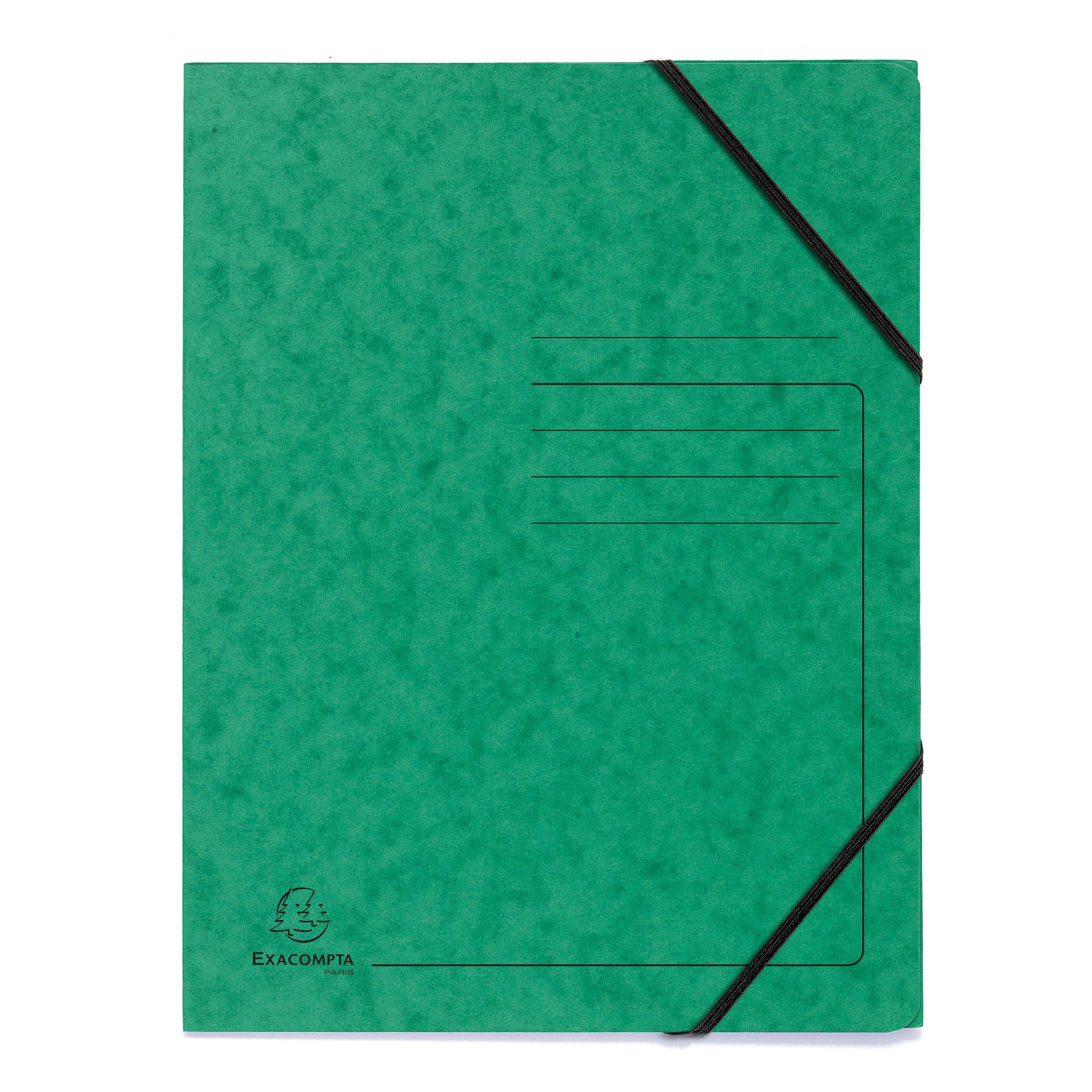 Exacompta Sammelmappe mit Gummizug (A4) (555413E)