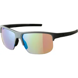 ALPINA EAGLE Brille | Gr. Einheitsgröße | grau - grau