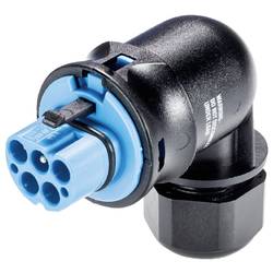 Wieland Electric 96.154.0153.9 Steckverbinder