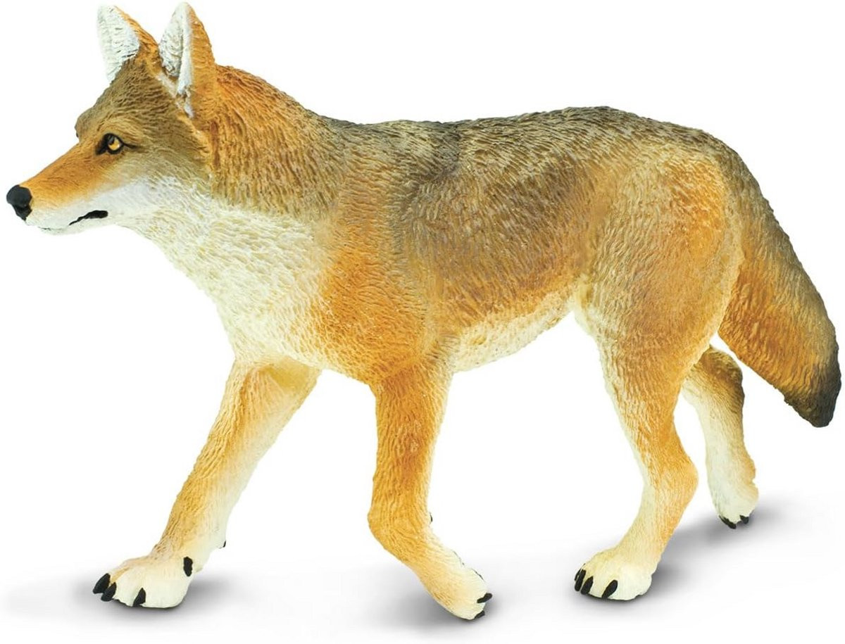 Coyote Beeldje voor volwassenen