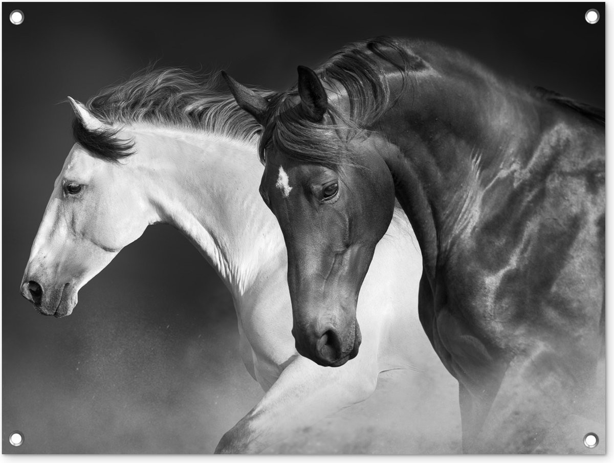 Tuinposter Paarden Portret - Zwart/Wit Tuindecoratie - 80 x 60 cm