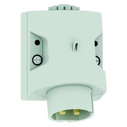 Bals Elektrotechnik 4616 4616 CEE Wandstecker 32.0 A 2polig 1 St.