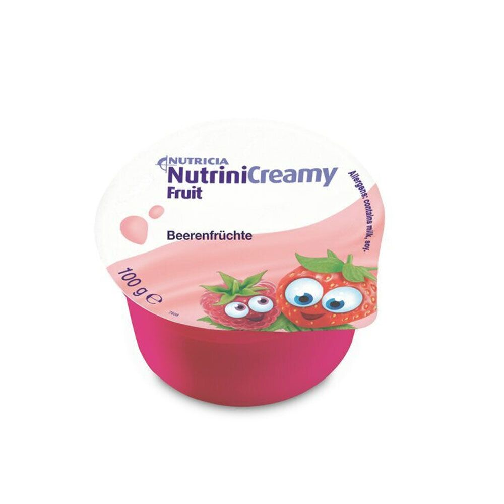 Nutrini Creamy Fruit Beerenfrüchte 48x100 g Sonstige