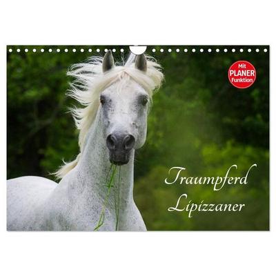 Traumpferd Lipizzaner (Wandkalender 2027 DIN A4 quer), CALVENDO Monatskalender