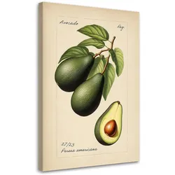WANDBILD avocado frucht im vintage stil