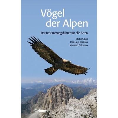 Vögel der Alpen, Taschenbuch von Bruno Caula,Pier Luigi Beraudo,Massimo Pettavino, Haupt Verlag, 978-3-258-07597-6