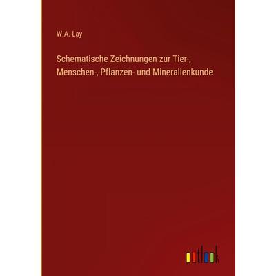 Schematische Zeichnungen zur Tier-, Menschen-, Pflanzen- und Mineralienkunde, Gebundene Ausgabe von W. A. Lay, Outlook, 978-3-368-38565-1