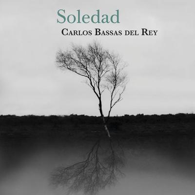 Soledad - Carlos Bassas Del Rey, Audio, 9789179898694