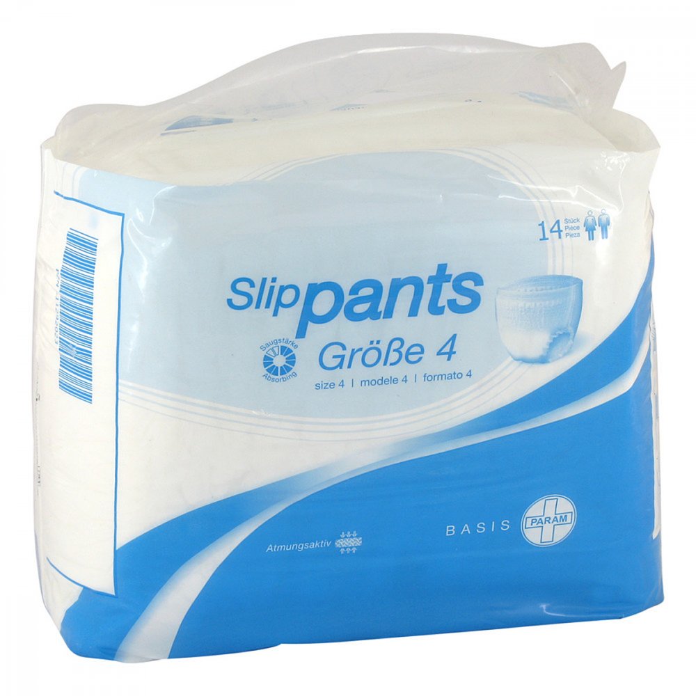 Param GmbH Param Slip Pants Basis Größe 4 11292023