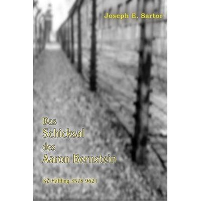 Das Schicksal des Aaron Bernstein, Taschenbuch von Joseph E. Sartor, Videel, 978-3-89906-993-8