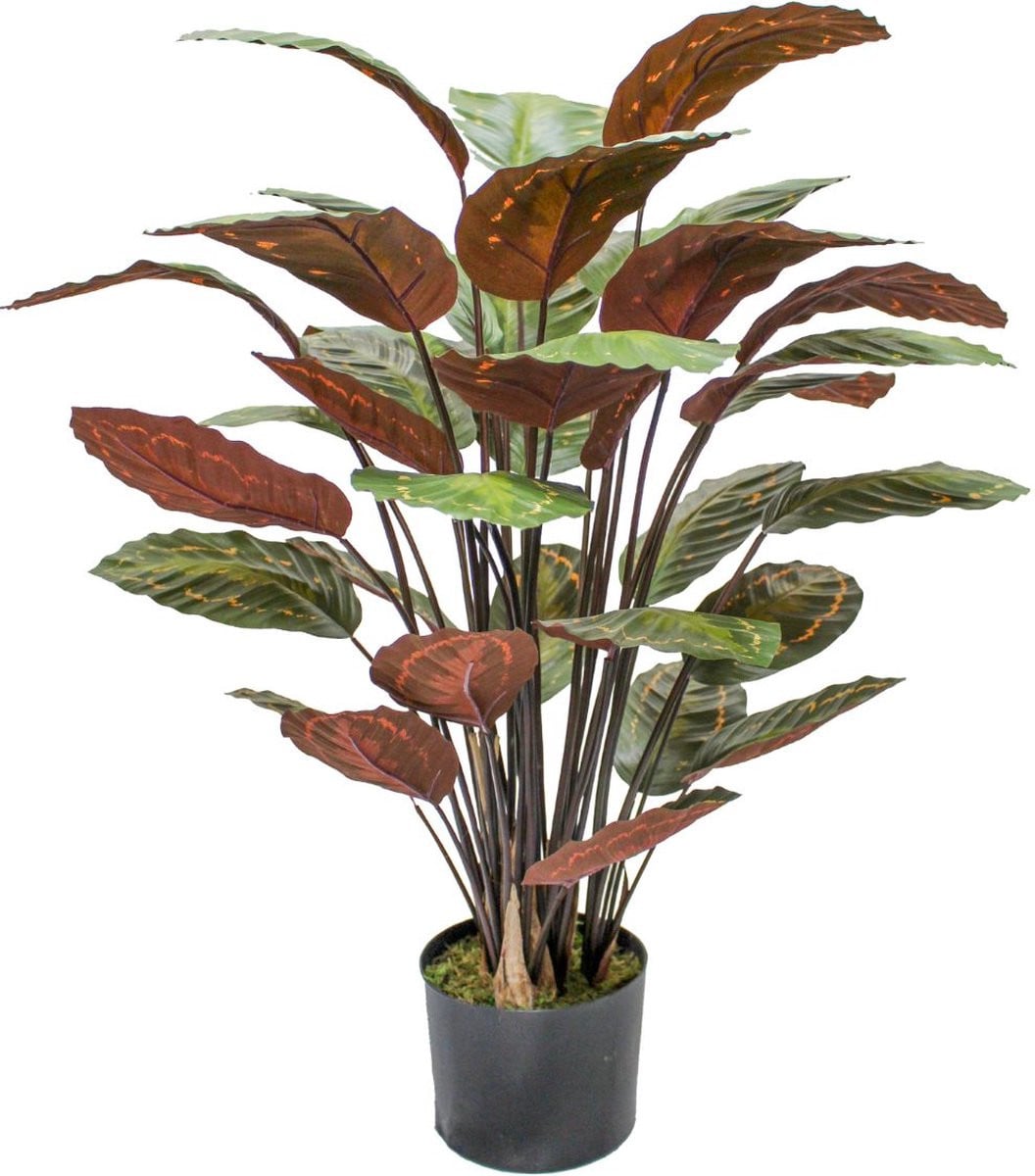 PrettyPlants Calathea Kunstplant in een pot, 90 cm
