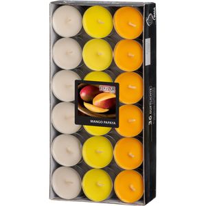 Gala Duftkerzen Flavour 030685632, Mango-Papaya, Duft-Teelichter, fruchtig & exotisch, 36 Stück