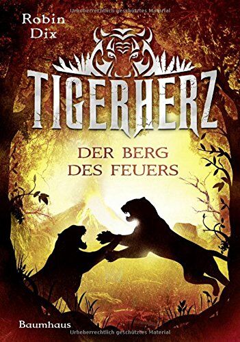 Robin Dix - Tigerherz - Der Berg des Feuers: Band 3 - Preis vom 16.10.2026 11:41:07 h