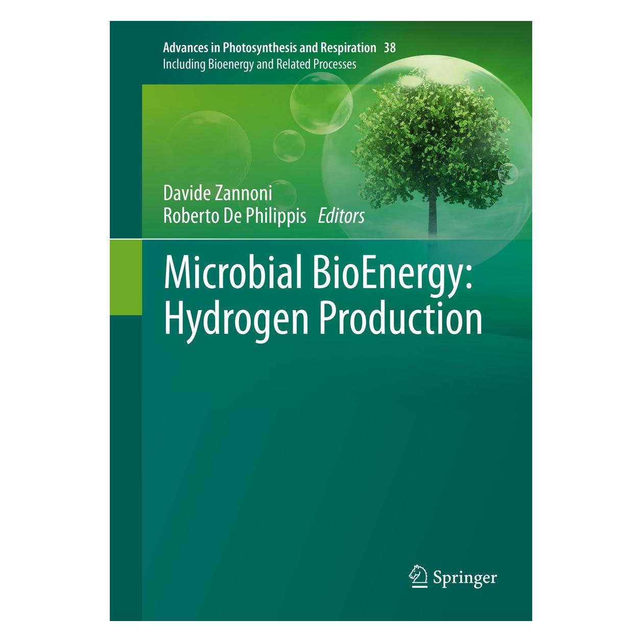 Springer Microbial BioEnergy: Hydrogen Production (Englisch, Hardcover, Davide Zannoni, Roberto De Philippis) (9789401785532)