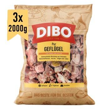 DIBO Frostfutter Geflügel 3x2 kg