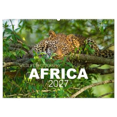 Africa Wildlife Photography (Wall Calendar 2027 DIN A2 landscape), CALVENDO 12 Month Wall Calendar