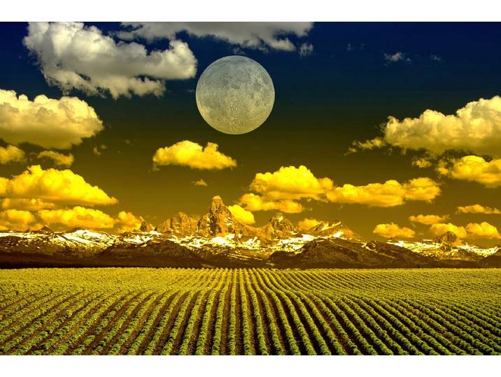 Papermoon Felder mit Mond