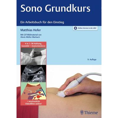 Sono Grundkurs, Sonstige von Matthias Hofer, Thieme