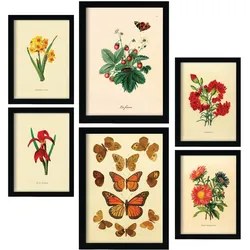 POSTER Set Mit 6 6Er Schmetterlinge A3 Rahmenlos