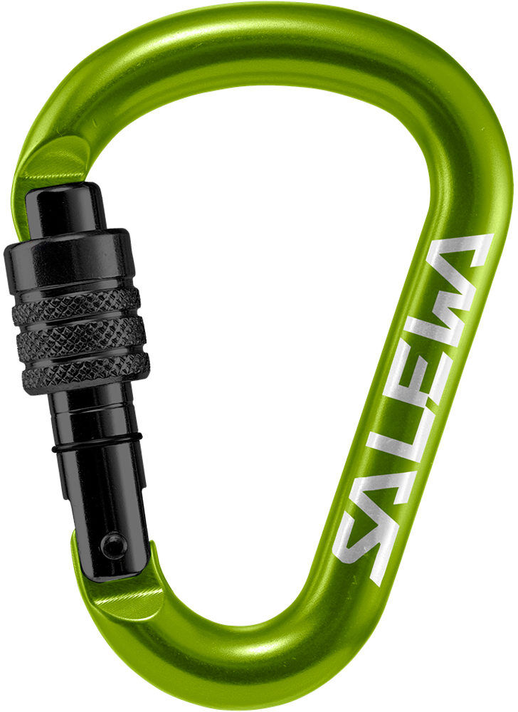 Salewa hms screw g2 mosquetón seguridad Verde