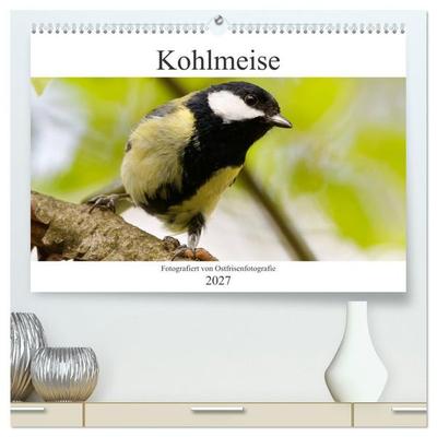 Kohlmeise - Fotografiert von Ostfriesenfotografie (hochwertiger Premium Wandkalender 2027 DIN A2 quer), Kunstdruck in Hochglanz