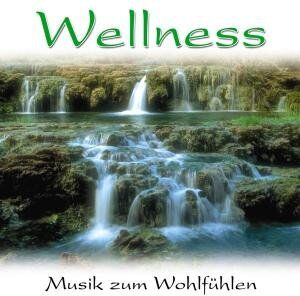Various - Wellness-Musik Zum Wohlfühlen 2 - Preis vom 09.10.2026 07:28:09 h