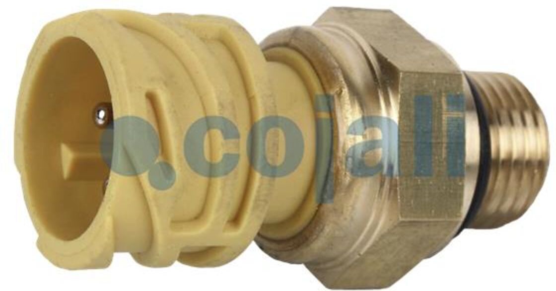 Sensor COJALI 2260284