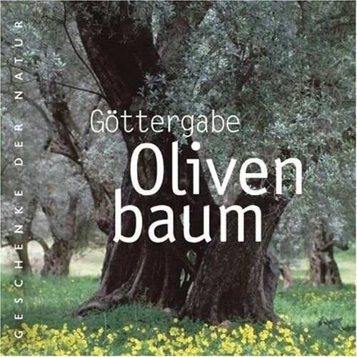 Gabriele Schiffer - Göttergabe Olivenbaum - Preis vom 09.10.2026 07:28:09 h