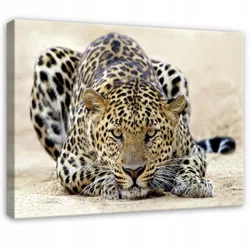 LEINWANDBILD Lampard Tiere Beige 120x80 cm