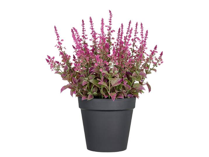 Kunstblume Salvia Superba Typ B 40 x 65 x 40cm Pink