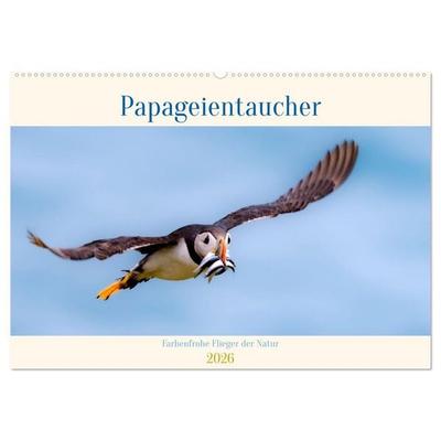 Papageientaucher - Farbenfrohe Flieger der Natur (Wandkalender 2026 DIN A2 quer), CALVENDO Monatskalender